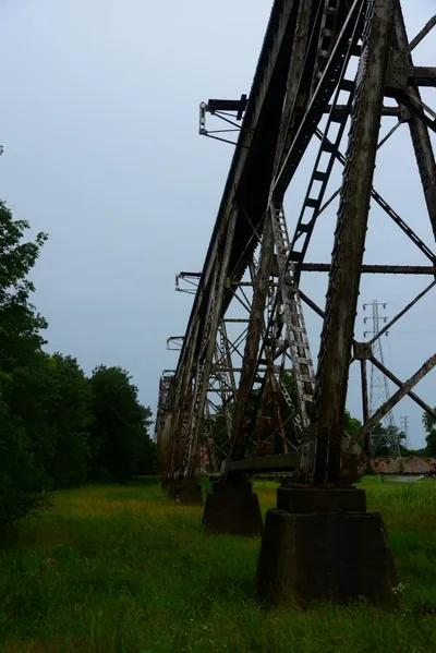 DSC_2205 (Large).JPG